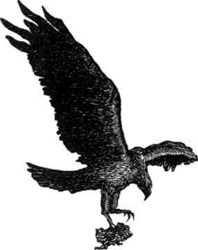 Иллюстрация к книге — Произведение в алом [img_37.jpg]