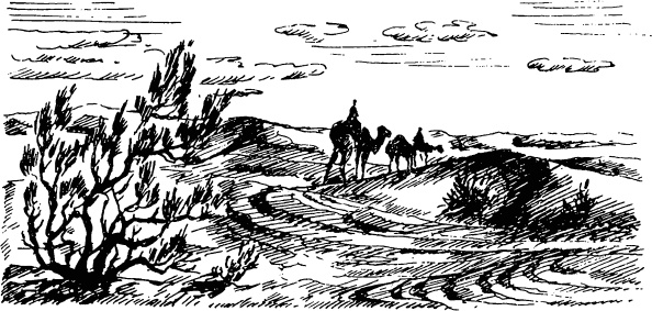 Иллюстрация к книге — Увлекательная география [_107.jpg]