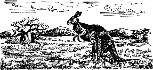 Иллюстрация к книге — Увлекательная география [_117.jpg]