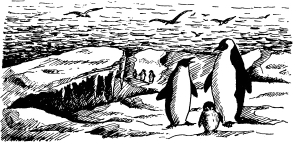 Иллюстрация к книге — Увлекательная география [_118.jpg]