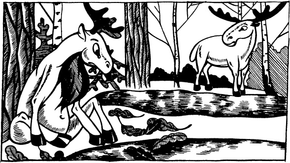 Иллюстрация к книге — Увлекательная география [_125.jpg]