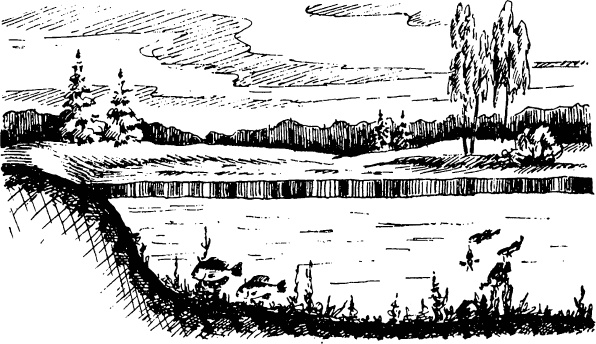 Иллюстрация к книге — Увлекательная география [_128.jpg]