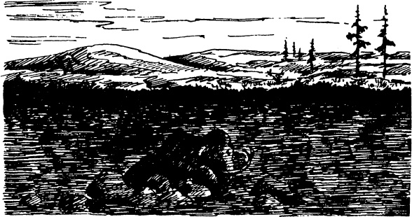 Иллюстрация к книге — Увлекательная география [_131.jpg]