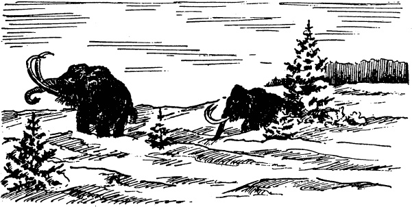 Иллюстрация к книге — Увлекательная география [_19.jpg]