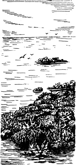 Иллюстрация к книге — Увлекательная география [_44.jpg]