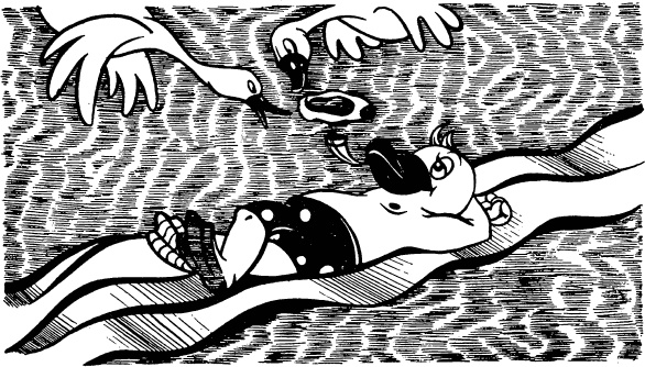 Иллюстрация к книге — Увлекательная география [_46.jpg]