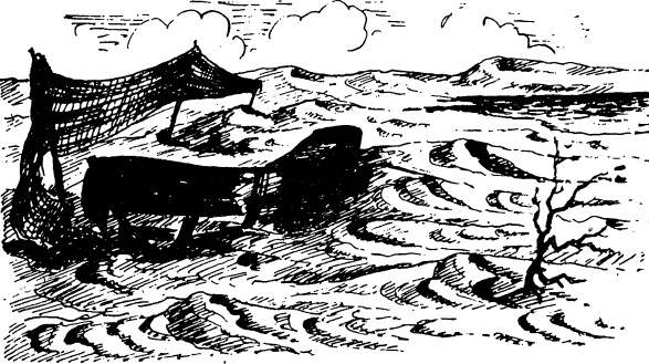 Иллюстрация к книге — Увлекательная география [_51.jpg]