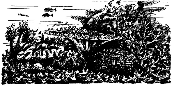 Иллюстрация к книге — Увлекательная география [_52.jpg]