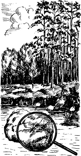 Иллюстрация к книге — Увлекательная география [_75.jpg]