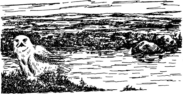 Иллюстрация к книге — Увлекательная география [_92.jpg]