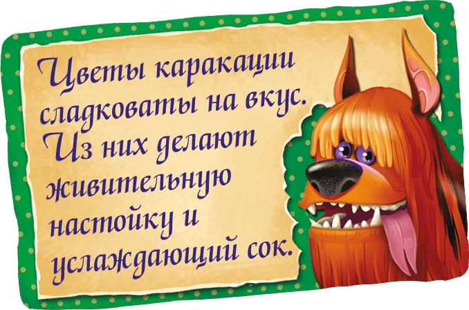 Иллюстрация к книге — Мора-Мрукс. Дракон может и не знать [i_027.jpg]