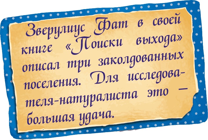 Иллюстрация к книге — Мора-Мрукс. Дракон может и не знать [i_040.jpg]