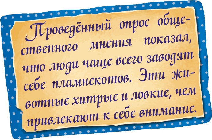 Иллюстрация к книге — Мора-Мрукс. Дракон может и не знать [i_054.jpg]