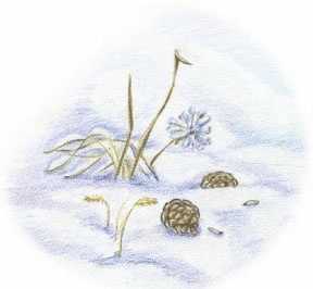 Иллюстрация к книге — Еня и Еля. Зимние истории [_11.jpg]