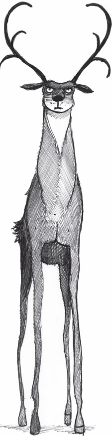 Иллюстрация к книге — Девочка, которая спасла Рождество [_34.jpg]