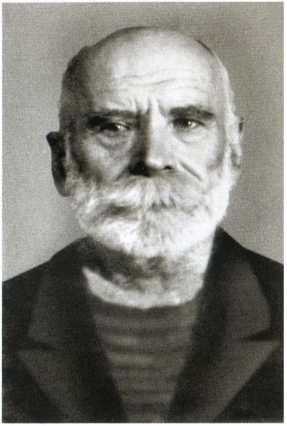 Иллюстрация к книге — Повседневная жизнь населения России в период нацистской оккупации [i_022.jpg]