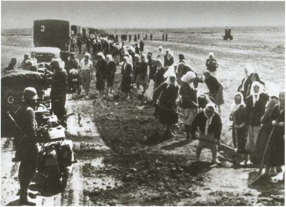 Иллюстрация к книге — Повседневная жизнь населения России в период нацистской оккупации [i_070.jpg]