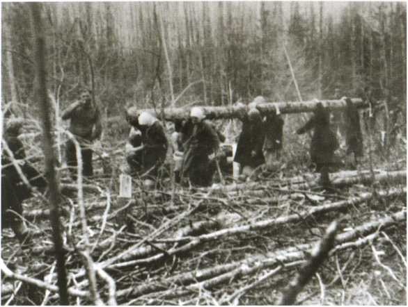 Иллюстрация к книге — Повседневная жизнь населения России в период нацистской оккупации [i_071.jpg]