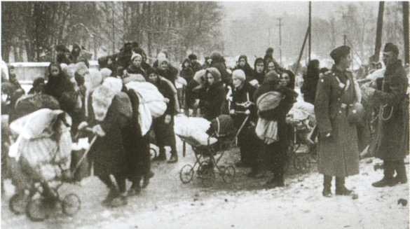 Иллюстрация к книге — Повседневная жизнь населения России в период нацистской оккупации [i_072.jpg]