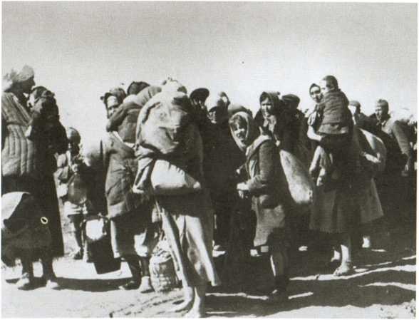 Иллюстрация к книге — Повседневная жизнь населения России в период нацистской оккупации [i_080.jpg]