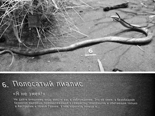 Иллюстрация к книге — Безумно счастливые. Часть 2. Продолжение невероятно смешных рассказов о нашей обычной жизни [i_011.jpg]