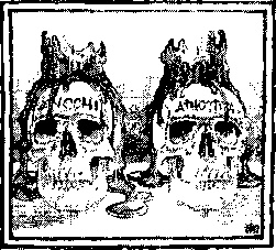 Иллюстрация к книге — Господин Зима [i_004.jpg]