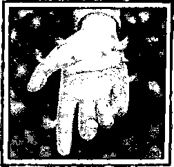 Иллюстрация к книге — Господин Зима [i_005.jpg]