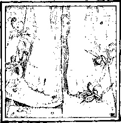 Иллюстрация к книге — Господин Зима [i_011.jpg]