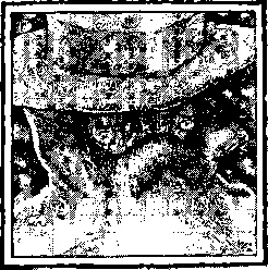 Иллюстрация к книге — Господин Зима [i_013.jpg]