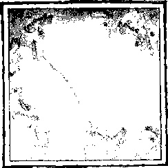 Иллюстрация к книге — Господин Зима [i_014.jpg]