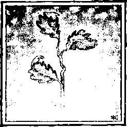 Иллюстрация к книге — Господин Зима [i_016.jpg]