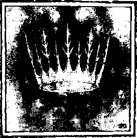 Иллюстрация к книге — Господин Зима [i_024.jpg]