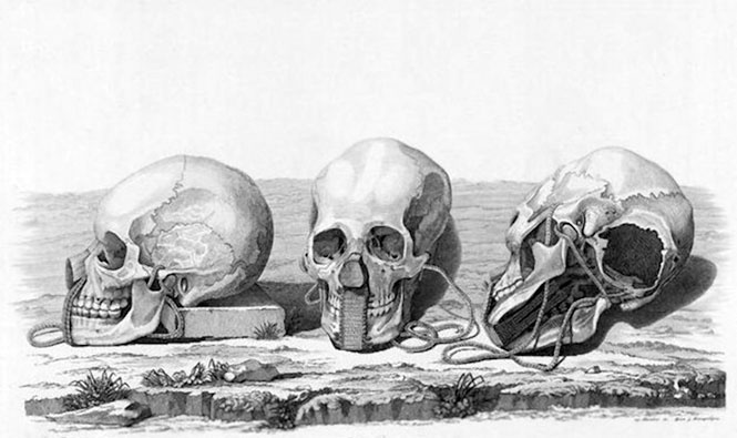 Иллюстрация к книге — На парусниках «Надежда» и «Нева» в Японию. Первое кругосветное плаванье российского флота [i_020.jpg]