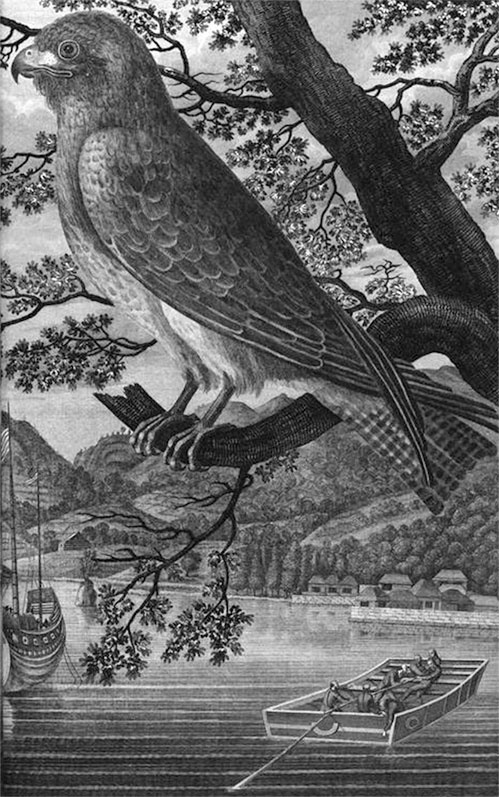 Иллюстрация к книге — На парусниках «Надежда» и «Нева» в Японию. Первое кругосветное плаванье российского флота [i_032.jpg]