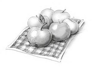 Иллюстрация к книге — Что случилось в нашем классе? [image_59.jpg]