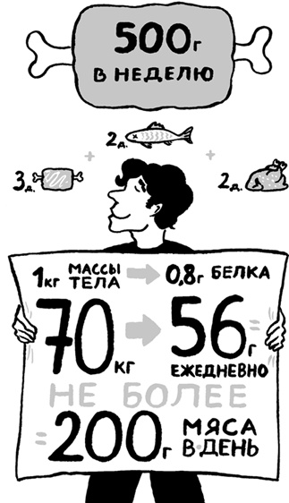 Иллюстрация к книге — Еда живая и мертвая. 5 принципов здорового питания [i_014.jpg]