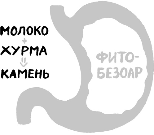 Иллюстрация к книге — Еда живая и мертвая. 5 принципов здорового питания [i_020.jpg]