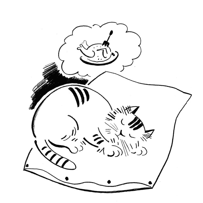 Иллюстрация к книге — Кот Барбосный [i_032.jpg]