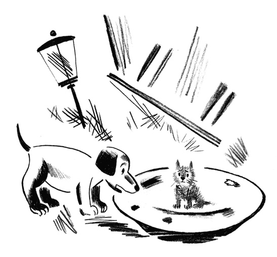 Иллюстрация к книге — Кот Барбосный [i_033.jpg]