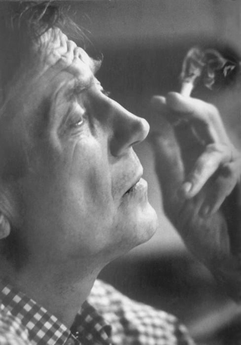 Иллюстрация к книге — Волчий паспорт [v02_16_1.jpg]