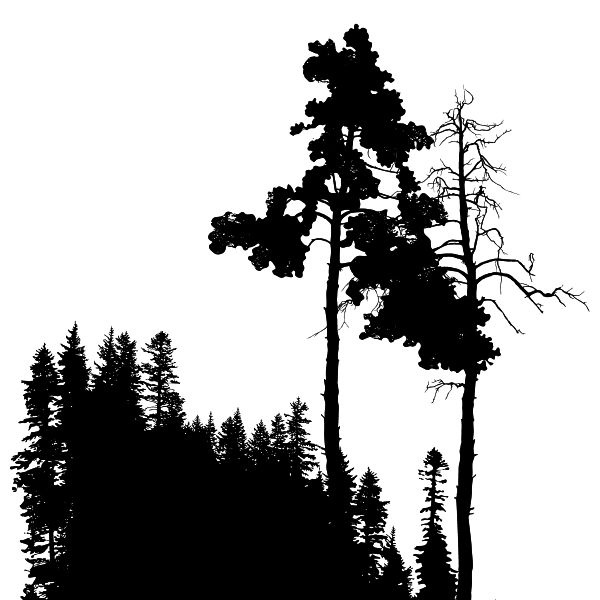 Иллюстрация к книге — Васюткино озеро. С вопросами и ответами для почемучек [i_026.jpg]