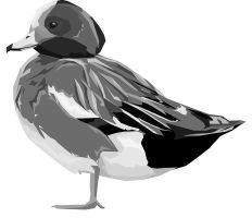 Иллюстрация к книге — Васюткино озеро. С вопросами и ответами для почемучек [i_033.jpg]