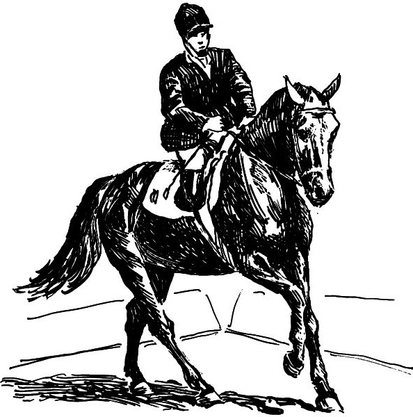 Иллюстрация к книге — Васюткино озеро. С вопросами и ответами для почемучек [i_055.jpg]