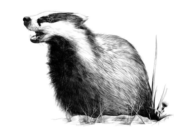 Иллюстрация к книге — Васюткино озеро. С вопросами и ответами для почемучек [i_073.jpg]