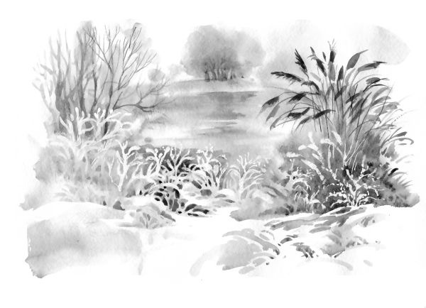 Иллюстрация к книге — Васюткино озеро. С вопросами и ответами для почемучек [i_080.jpg]