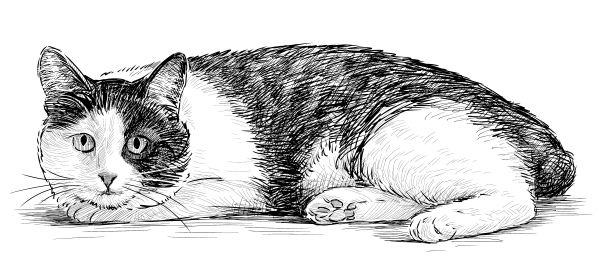 Иллюстрация к книге — Васюткино озеро. С вопросами и ответами для почемучек [i_100.jpg]