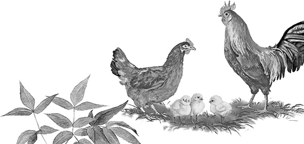 Иллюстрация к книге — Васюткино озеро. С вопросами и ответами для почемучек [i_105.jpg]