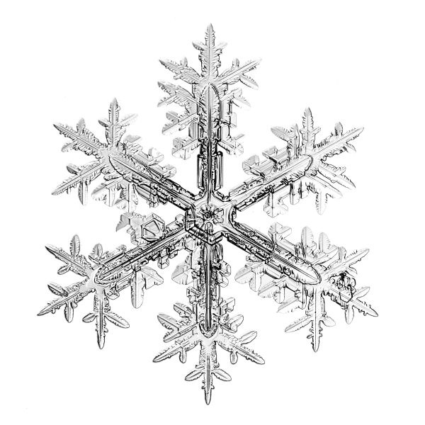 Иллюстрация к книге — Васюткино озеро. С вопросами и ответами для почемучек [i_114.jpg]