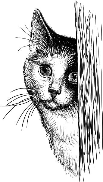 Иллюстрация к книге — Васюткино озеро. С вопросами и ответами для почемучек [i_115.jpg]