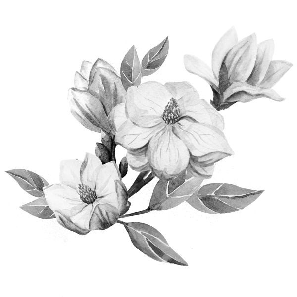 Иллюстрация к книге — Васюткино озеро. С вопросами и ответами для почемучек [i_124.jpg]